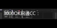 3000OK网通CC：打造高效稳定的网络服务平台