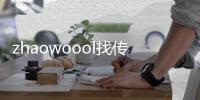 zhaowoool找传世、找传世发布网