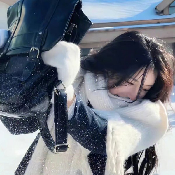 猛虎嗅蔷薇之盗亦有道